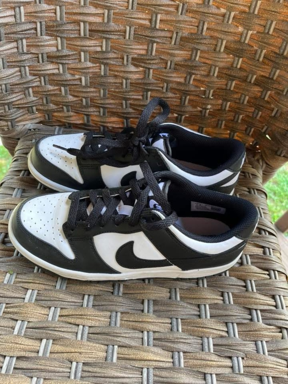 Nike dunks 6Y